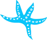 Share a Simmons Bayou Moment